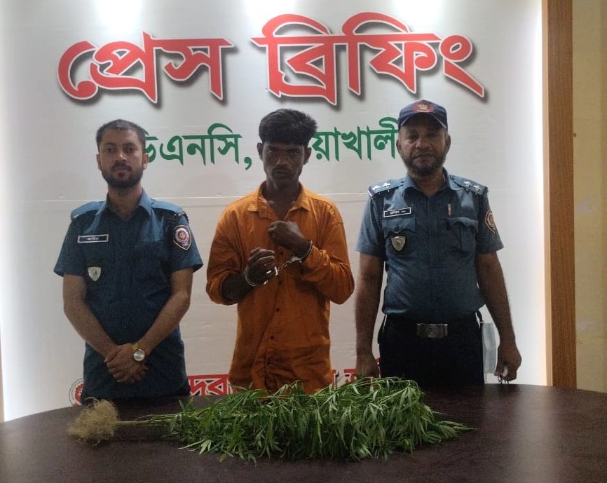 বাড়ির ছাদে গাঁজা চাষ, কেয়ারটেকার গ্রেফতার