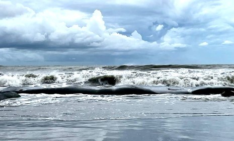বঙ্গোপসাগরে লঘুচাপ,বাড়বে তাপমাত্রা: আবহাওয়া অধিদপ্তর
