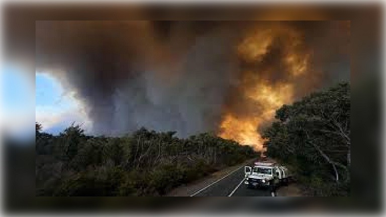 অস্ট্রেলিয়ায় ভয়াবহ দাবানলে পুড়ে গেছে সিঙ্গাপুরের আয়তনের সমান এলাকা