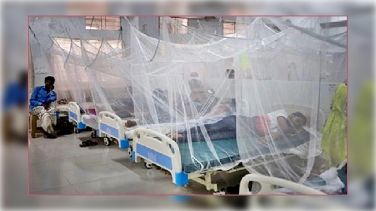 ২৪ ঘণ্টায় ডেঙ্গুতে মৃত্যু ৬, নতুন শনাক্ত ১২৯৮