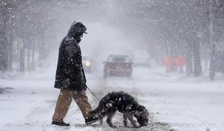 তীব্র তুষারঝড়ে যুক্তরাষ্ট্রের ৭ অঙ্গরাজ্যে জরুরি অবস্থা