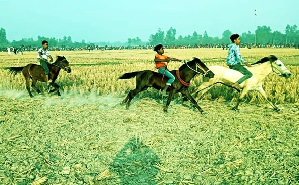 গ্রামবাংলার ঐতিহ্যবাহী ঘোড়দৌড় প্রতিযোগিতা